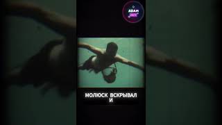 Жемчужина за $200 000 000: Как природа создает сокровища? #oceanlife