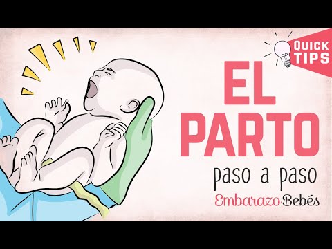 Vídeo: Las 3 Etapas Del Parto: Dilatación, Expulsión Y Placenta