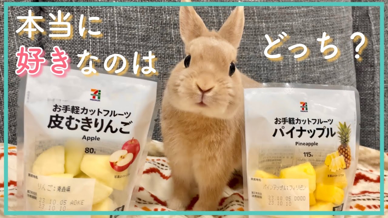 大好物おやつ頂上決戦！うさぎさんが1番好きなおやつはこれだ！【# 198