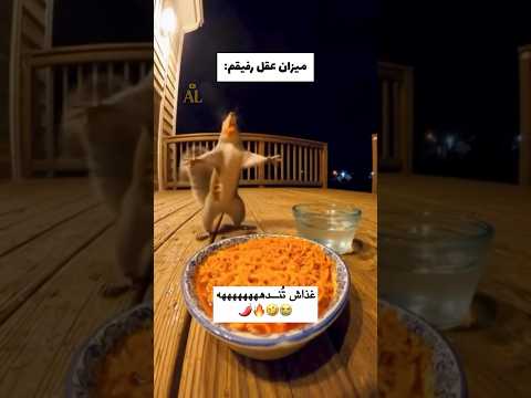 مگه مجبوری
