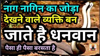 People who see a pair of snakes can become rich, know the whole truth Pandit Rajguru Sharma