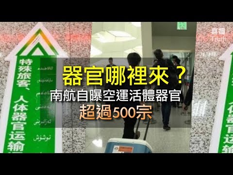 南方航空 自曝空运活体器官超过500宗!