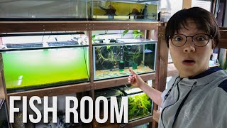 Just another day in the Fish Room