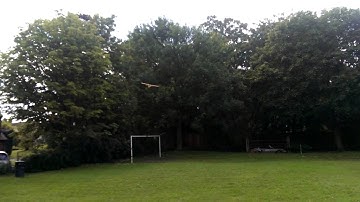 HobbyZone RC Champ Take Off And Landing