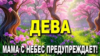 Download Lagu ДЕВА ♍ СИЛЬНЫЙ РАСКЛАД ТАРО 😭 ЗАВТРА 11:11 СУДЬБА ГОТОВИТ НЕЧТО МОЩНОЕ ✨ MP3