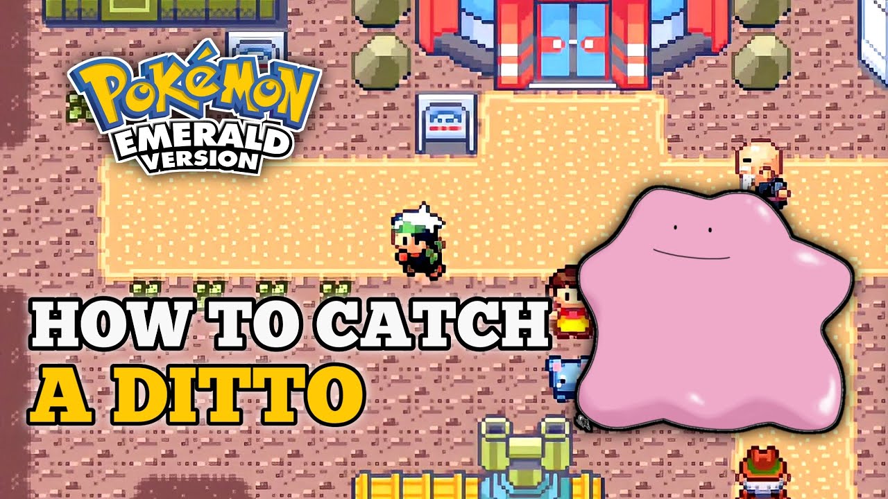 How To Get Ditto In Pokemon Emerald 