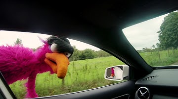 Litter Loathing Puppet, Packs a Punch