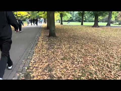 Super Louders - Autumn Walk