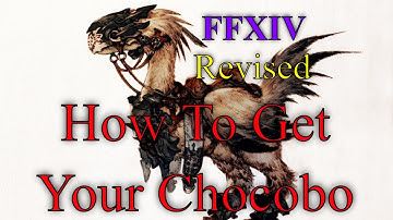 FFXIV How To Get Your Chocobo Step By Step Player Guide When And How PlayStation 4 Console or PC!