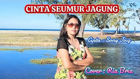 Ria Bria||Cover : CINTA SEUMUR JAGUNG #Cipta : Sony Josz||dangdut versi mandarin
