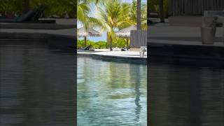 ✨Constance Moofushi 2025 – Maldives Holiday Vibes 🌴🐠 | Quick Impressions 🔅
