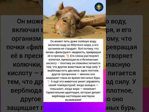 Почему Он способен выжить там ? #интересно #интересныефакты #истории