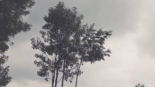 hujan di bulan desember (rain)