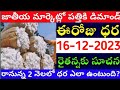 మార్కెట్లో పత్తి ధరలు  16-12-2023 Today cotton rate | cotton rate today || #pattidhralu Increase