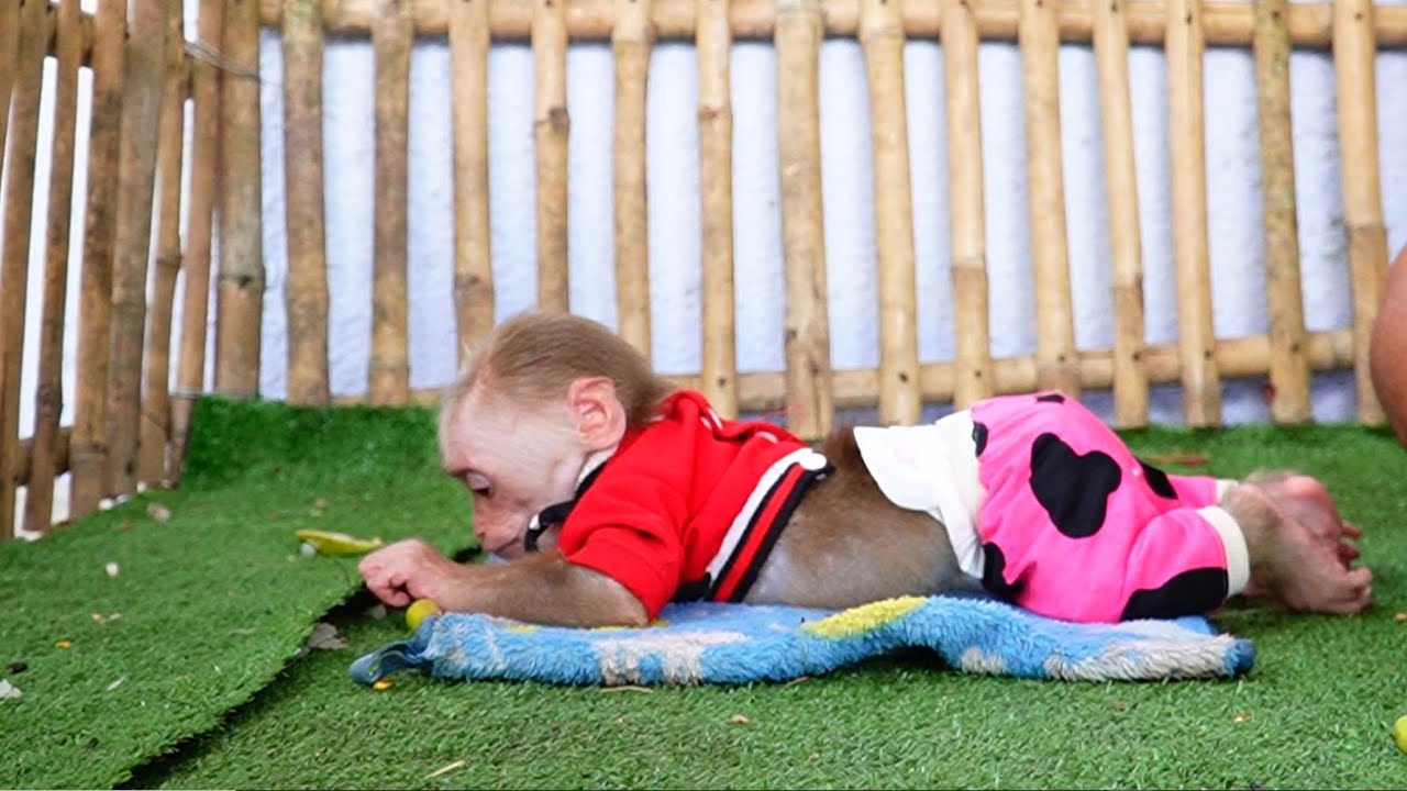 Funny Sleepy Ploy Accept Sleeping From Daddy