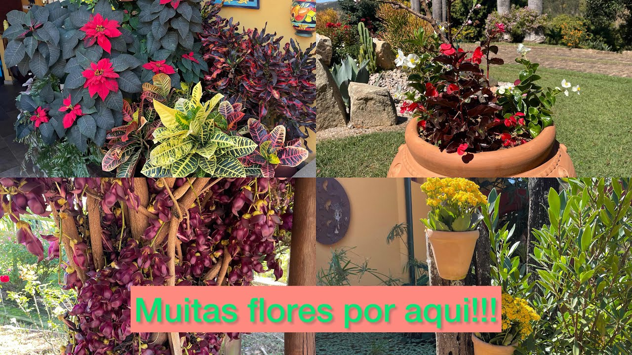 Venha comigo nesse vídeo de hoje, vocês vão se encantar!!