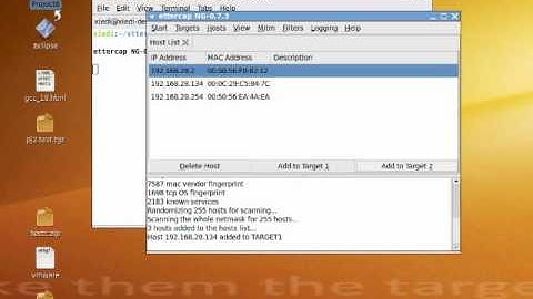 Use static ARP entry to prevent ARP poisoning