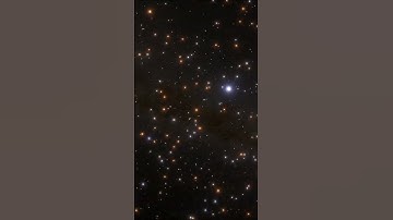 What’s at the Center of This Star Cluster?