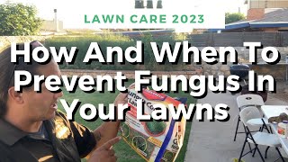 How And When To Prevent Fungus And Disease Issues In Your Lawn