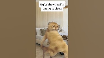 My brain when I’m trying to sleep #trending #funny #gaming #cat #funnycats