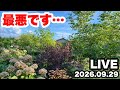 ◆朝起きたらイノシシに荒らされました…😨😨😨