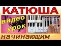 Катюша~Урок фортепиано~синтезатор~аккорды-текст~Katyusha~Dm piano tutorial