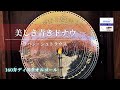 美しき青きドナウ」シュトラウス 【160弁ディスクオルゴール
