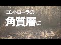 懐かしみながらバイオ7実況