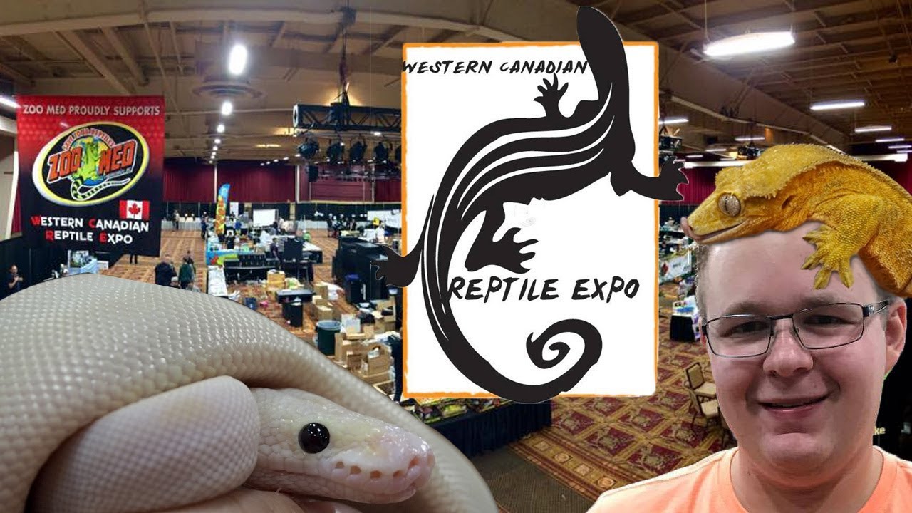 LARGEST REPTILE EXPO IN WESTERN CANADA! (WCRE 2017) YouTube