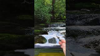 Painting a Hyper-Realistic River  #satisfying #art #artlessons
