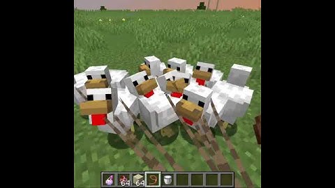 minecraft chicken parachute no commands