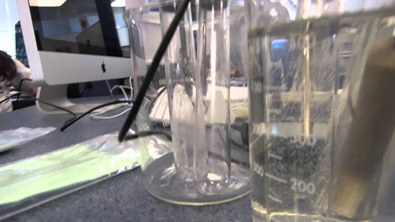land and water heating - YouTube