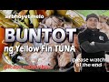 BUNTOT ng Yellow Fin Tuna