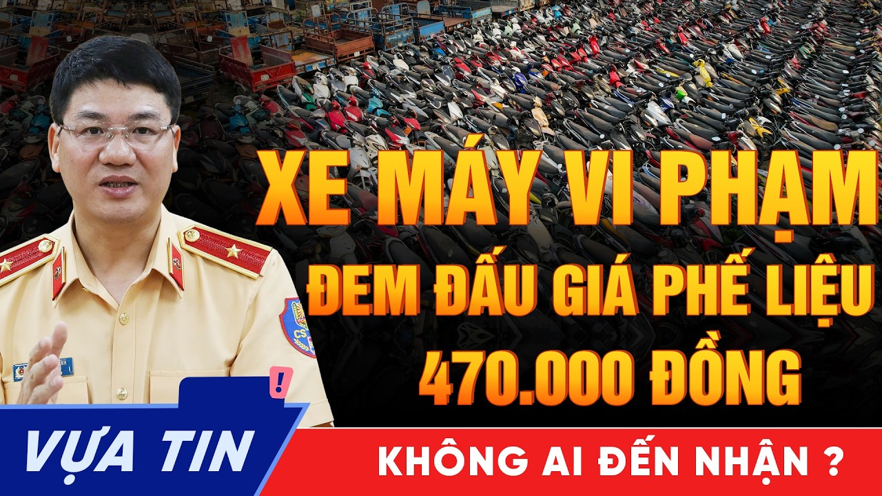 24.000 Xe Máy Vi Phạm Tại TP.HCM Rao Bán Chỉ 470K Tài Sản Hay Rác Thải Sự Thật Đằng Sau Cuộc Đấu Giá