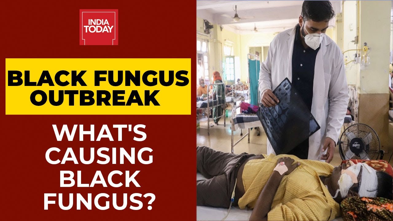 Black Fungus Outbreak Secondary Infections Misuse Of Zinc Supplements Leads To Infection Spike Youtube