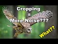 Does Cropping = More Noise?