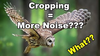 Does Cropping = More Noise?