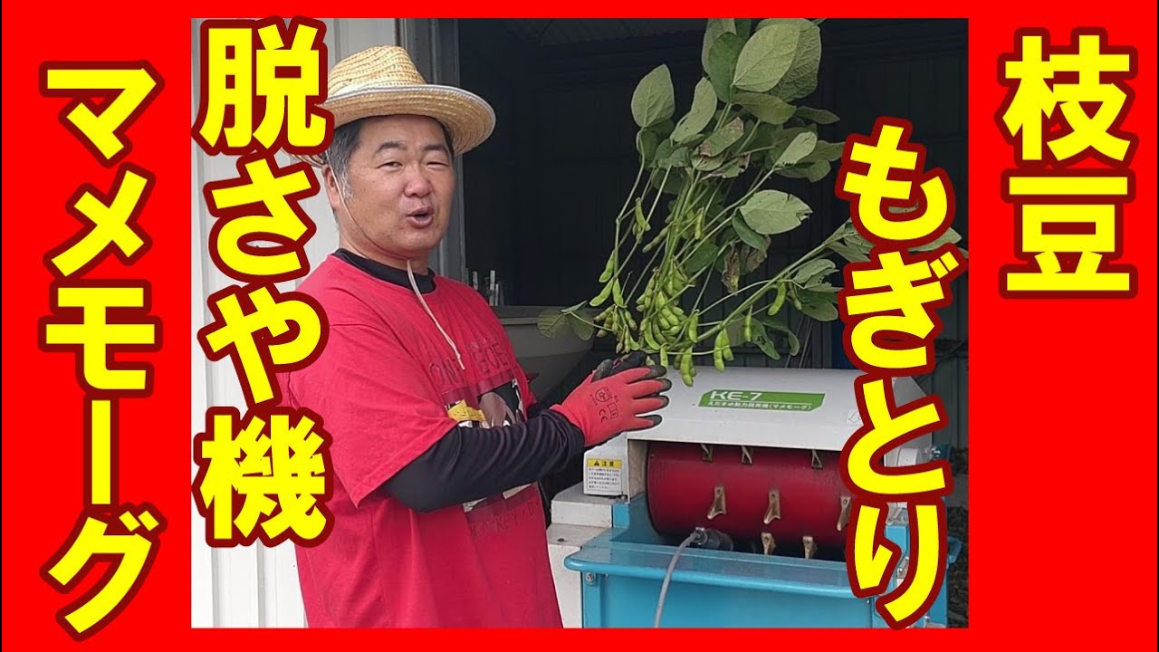 Introducing the Mitsuwa Mame-Moog edamame soybean picking machine 