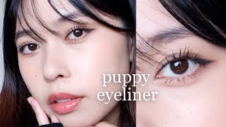 My 'innocent' Everyday Puppy Eyeliner Tutorial