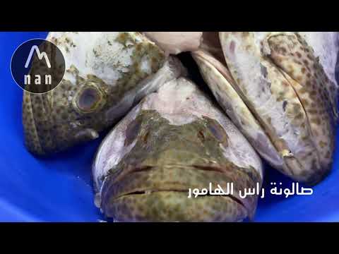 صالونة رأس الهامور طعم لا يقاوم      