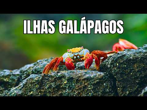 ILHAS GALÁPAGOS |