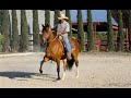 RANCHO DE LA FLORECITA PERUVIAN HORSES - CALIFORNIA