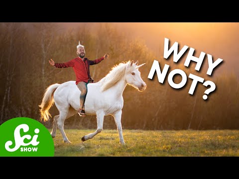 Why Can’t We Have Unicorns?