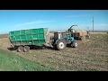 Уборка кукурузы на силос в СПК "Гигант"