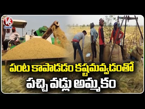 Farmers Sell Raw Paddy As It Became Difficult To Save Crop Fields |  Nizamabad | V6 News - V6NEWSTELUGU