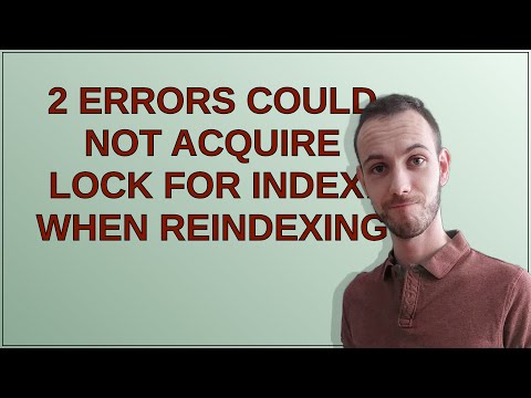 2 errors Could not acquire lock for index: when reindexing