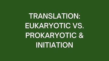 Translation: Eukaryotic vs. Prokaryotic & Initiation