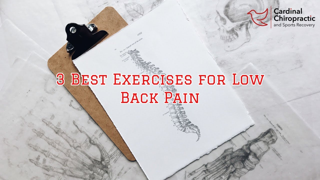 3 Best Exercises for Low Back Pain - Your Burlington NC Chiropractor ...