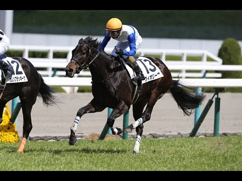 制圧戦　VS乾坤一擲