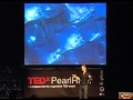 TEDxPearlRiver - Rob Stewart - Sharkwater and Rise Again